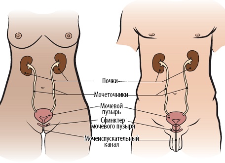 7 типов людей, которых я стараюсь избегать и мне от этого спокойнее