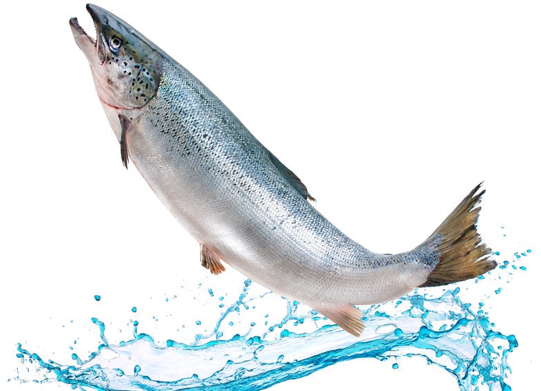 В марте откроется большой световой поток: максимальное очищение и поднятие вибраций.